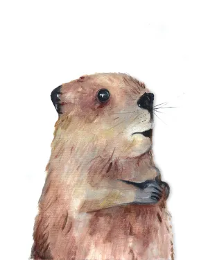 Baby Beaver
