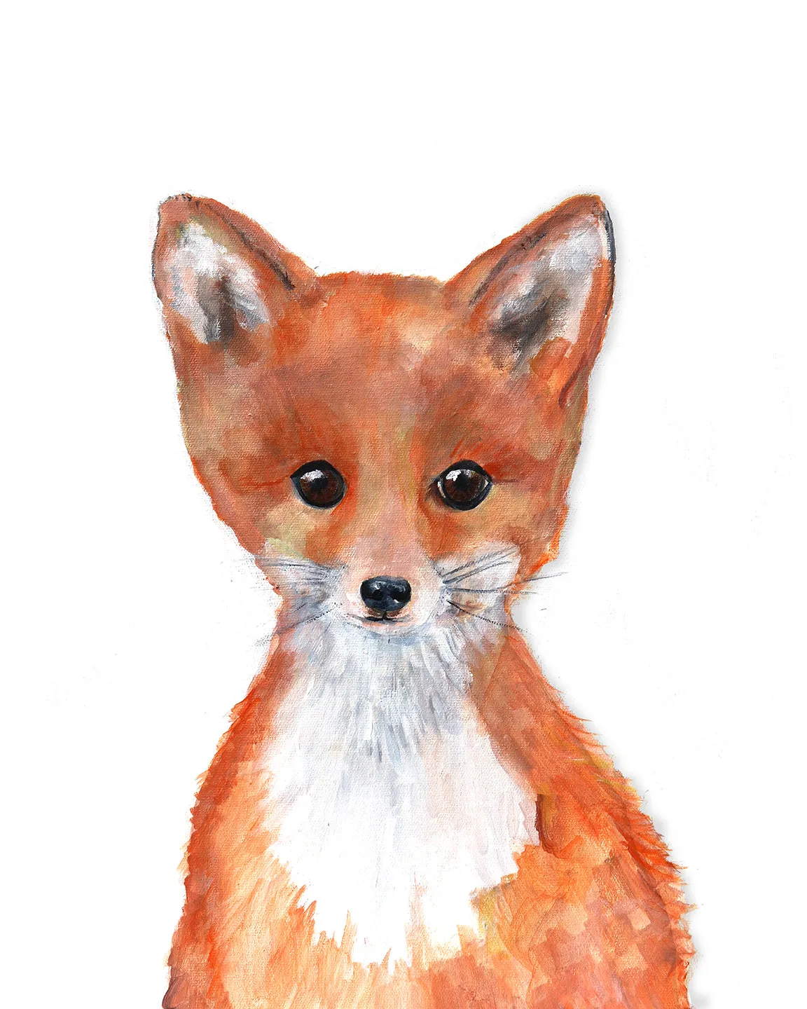 Baby Fox