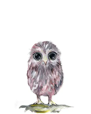 Baby Owl