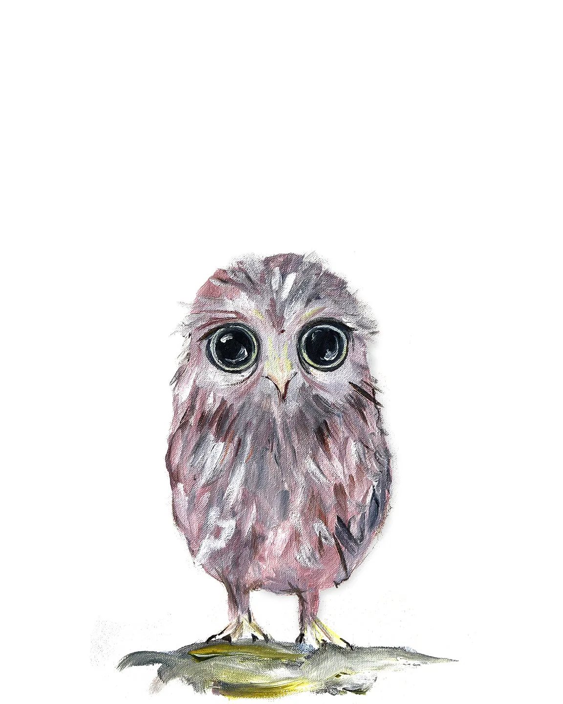 Baby Owl