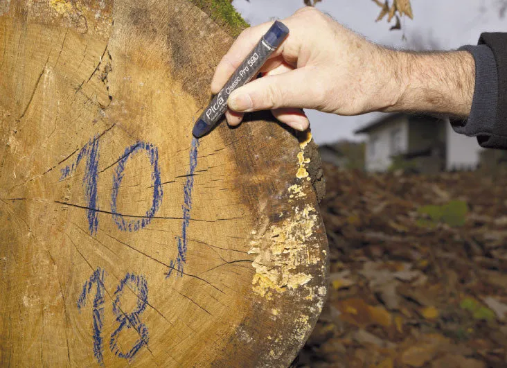 Pica Classic Lumber and Marking Crayon Pro (Pica Marker)