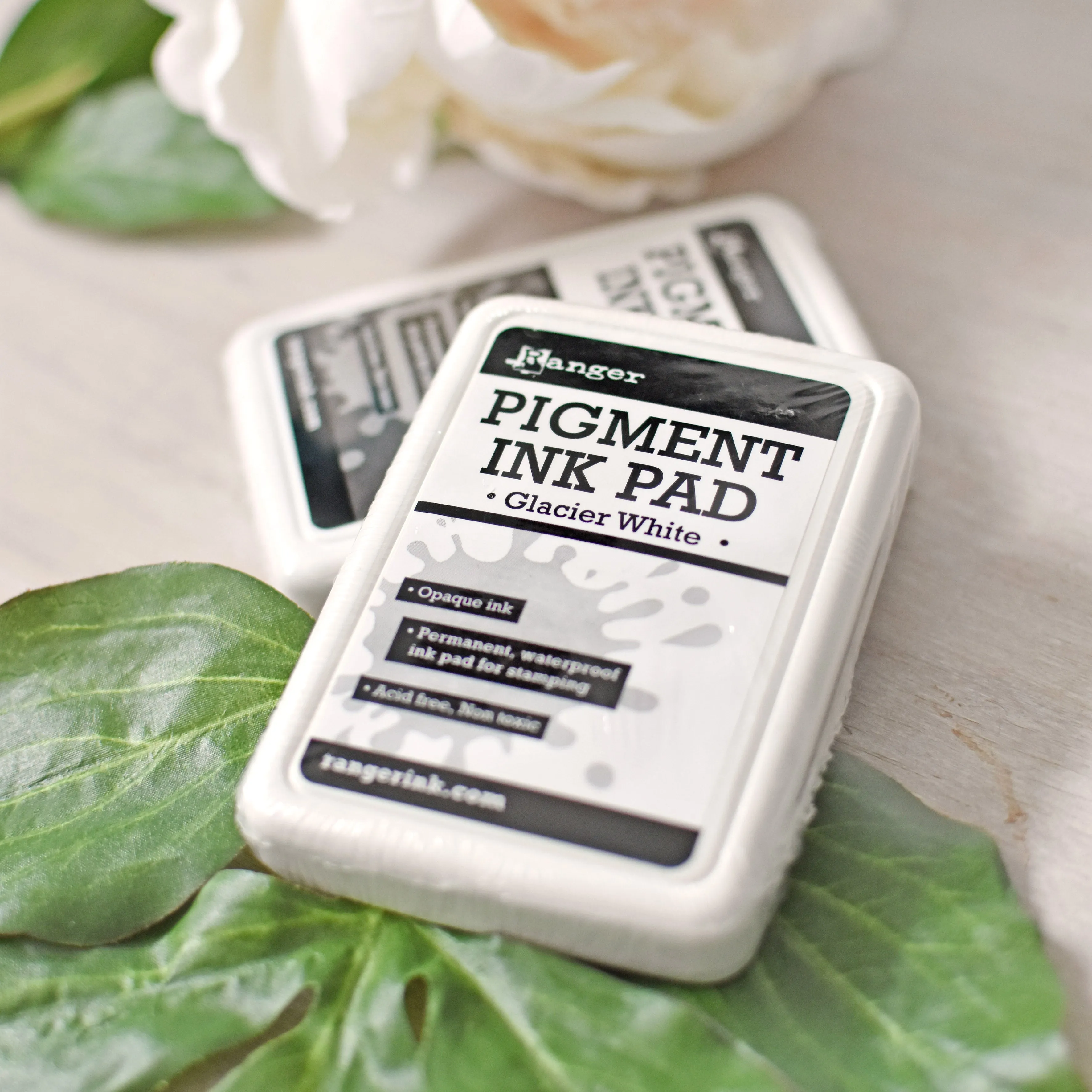 Ranger Pigment Ink Pad - Black or White