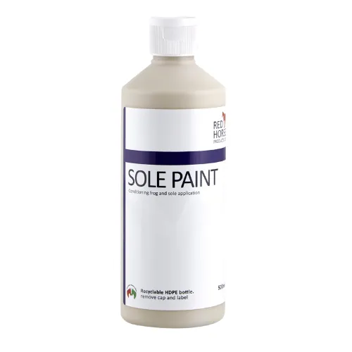 SOLE PAINT