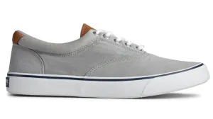 STRIPER II CVO - STS22045