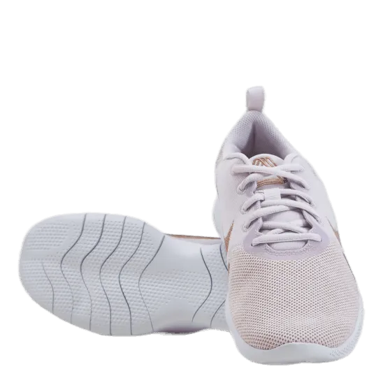 Wmns Flex Experience Run 10 Champagne/mtlc Red Bronze-ligh
